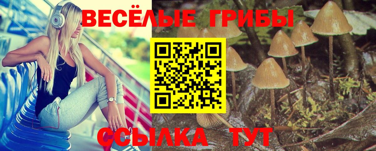 Краснознаменск  Псилоцибиновые грибы мухоморы  Вход с VPN 